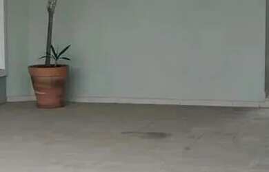 Imagem 2: Aluga-se Geminado - Jlle, Boa Vista, Rua Adolpho Sell nº 17 - R$3.750,00