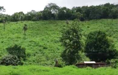 Imagem 11: Fazenda 53 Alqueires 20 km Niquelândia Goiás