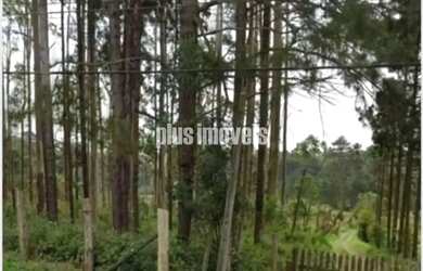 Imagem: O terreno possui 54.330m² de Área e está localizado em Jardim