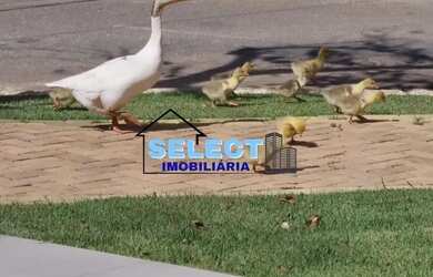 Imagem 5: Terreno Exclusivo no Condomínio Reserva dos Vinhedos, Louveira!