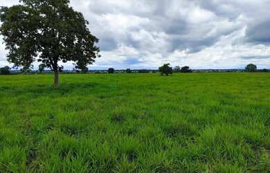 Imagem: A fazenda possui 480m² de Área e está localizado em Araguapaz