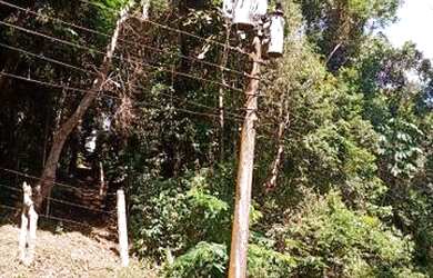 Imagem 9: Super terreno rico em água apenas 600 MTS do asfalto e ponto de ônibus