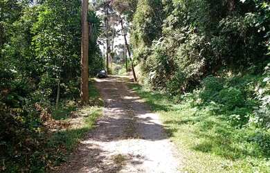 Imagem 4: Super terreno rico em água apenas 600 MTS do asfalto e ponto de ônibus