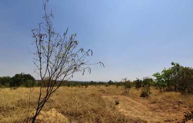 Imagem: A fazenda possui 102m² de Área e está localizado em Centro