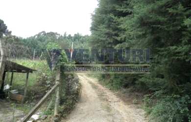 Imagem 1: ALMIRANTE TAMANDARé - Terreno Padrão - Mato Dentro