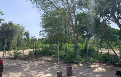 Imagem: O terreno possui 400m² de Área e está localizado em Floresta