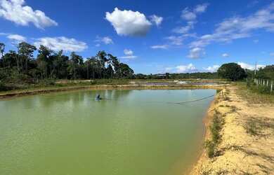 Imagem 2: Vendo sítio na estrada de novo airão, fica 130 km de Manaus