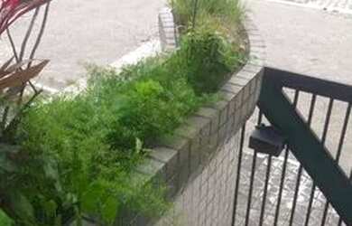 Imagem: O apartamento possui 1 Dormitório, 1 Banheiro, 1 Vaga na garagem