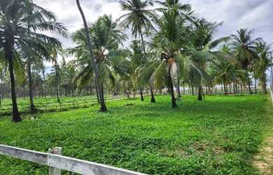 Imagem 5: Condomínio Country Mar. Churrasqueira, Vista para o mare964m² de Área