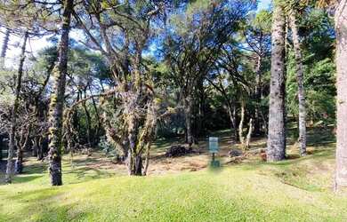 Imagem: O terreno possui 595m² de Área e está localizado em Canela