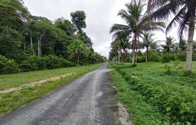 Imagem 11: Fazenda na pista Rodovia BR174, entre Km 60 e 63. 2.449ha com 3.900mts...