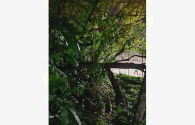 Imagem 10: Terreno à venda, 405 m² por R$ 729.000 - Jardins Barcelona - Uberlândia/MG