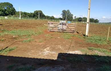 Imagem 14: Fazenda em piracanjuba. 100.000m² de Área