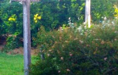 Imagem 6: Casa em Imbituba, localizada no bairro Alto Arroio a 600 metros até a...