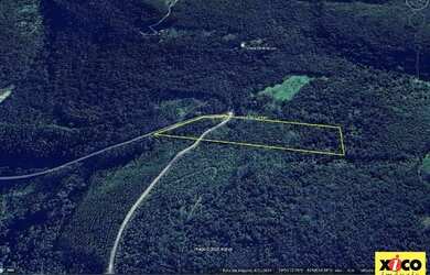 Imagem 15: Sítio / Chácara para Venda em Nova Petrópolis, São Jacó