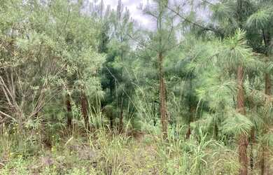 Imagem 4: Terreno - Bairro Dutra. 450m² de Área