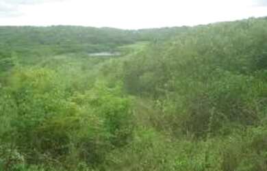 Imagem 13: Venda Fazenda 825 hectares em General Sampaio-CEARÁ