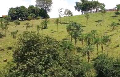 Imagem: A fazenda à venda possui 34m² de Área e Imóvel novo e está