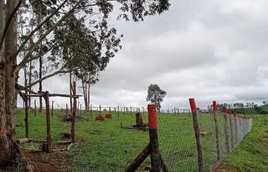 Imagem: O terreno possui 1000m² de Área e está localizado em Vila