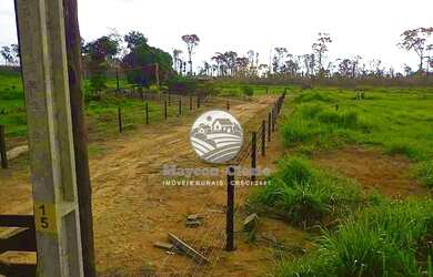 Imagem 4: Candeias do Jamari - Fazenda - 84 Alqueires Barato