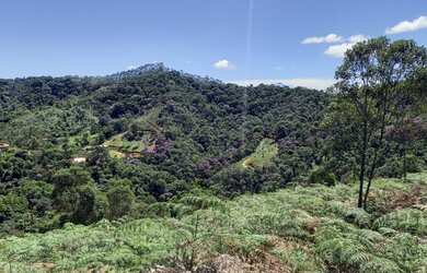 Imagem: A fazenda possui 9037m² de Área e está localizado em Domingos