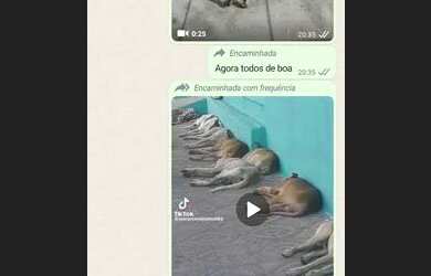 Imagem 1: Grupo zap. Churrasqueira