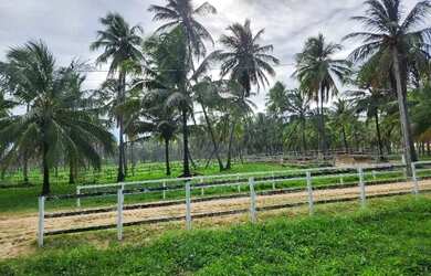 Imagem 4: Condomínio Country Mar. Churrasqueira, Vista para o mare964m² de Área