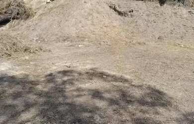 Imagem 2: Lote. 1.000m² de Área