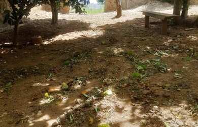 Imagem 2: Terreno para Venda em Araucária, Campina da Barra