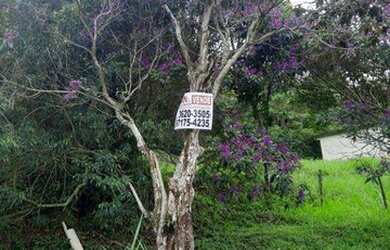 Imagem 7: Terreno à venda, 360 m² por R$ 120.000 - Rio do Ouro - São Gonçalo/RJ