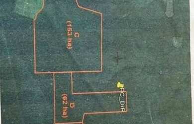 Imagem 6: Fazenda na pista Rodovia BR174, entre Km 60 e 63. 2.449ha com 3.900mts...