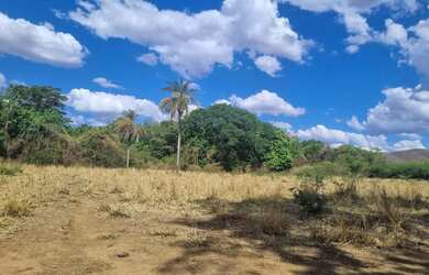 Imagem 16: Fazenda 81 uma hectares e meia valor 420.000