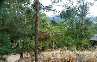 Imagem: O terreno possui 5379m² de Área e está localizado em Santa