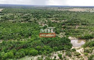 Imagem 16: Fazenda 57,3 alqueires 277,33 hectares São Miguel do Araguaia - Go