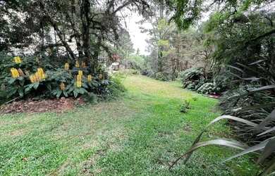 Imagem 6: Terreno - Bairro São José