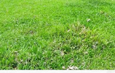 Imagem: O terreno está localizado em Centro, Guarulhos à venda por