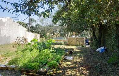 Imagem 5: TERRENO à venda com 767.25m² por R$ 779.000,00 no bairro Pilarzinho...