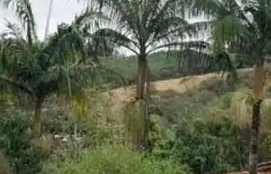 Imagem: A fazenda possui 180m² de Área e está localizado em Área