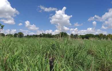 Imagem 11: Lote / Área comercial / Terreno / Go 020 Bela Vista de Goias