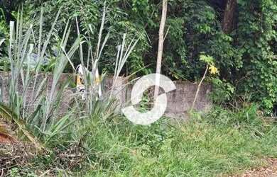 Imagem: O terreno possui 360m² de Área e está localizado em Mata