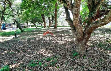 Imagem 13: Lote em Rua Santa Lúcia - Chácara Santa Lúcia dos Ypes - Carapicuíba/SP