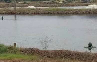 Imagem: A fazenda possui 273.460m² de Área e está localizado em