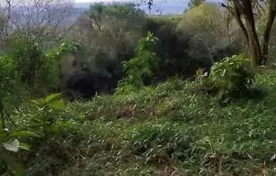 Imagem 10: Sítio / Chácara para Venda em Nova Petrópolis, Linha Imperial