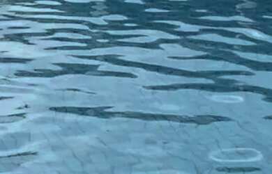 Imagem 2: Alugo casa com piscina privativa node praia no Condomínio Sol Marina Jacuípe, Natal, Révei