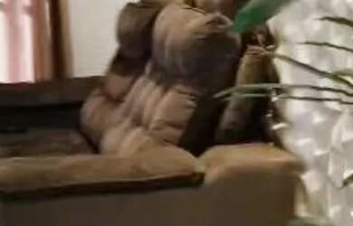 Imagem 10: APARTAMENTO - RESIDENCIAL VEREDAS - MG