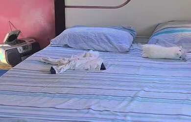 Imagem: A casa possui 2 Dormitórios, 1 Banheiro e 3 Vagas na garagem