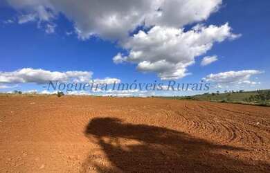 Imagem 5: Fazenda com 40 alqueires para agricultura Nogueira Imóveis Rurais