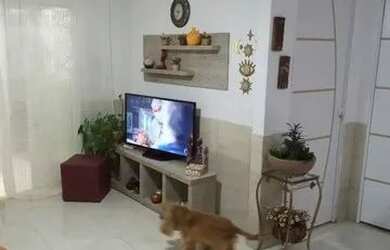 Imagem: A casa possui 2 Dormitórios, 1 Banheiro, 70m² de Área e