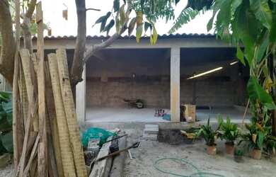 Imagem 7: Oportunidade para investimento Maravilhoso horto em Jaconé, Maricá