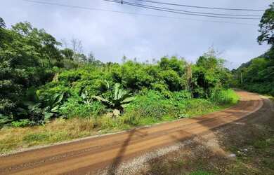 Imagem 2: Sítio / Chácara para Venda em Nova Petrópolis, São Jacó